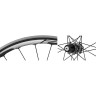 Спицы SHIMANO для WH-RS21 задние (304 мм X 20 штук), ниппеля (20 штук), EWHSPOKE3MB1